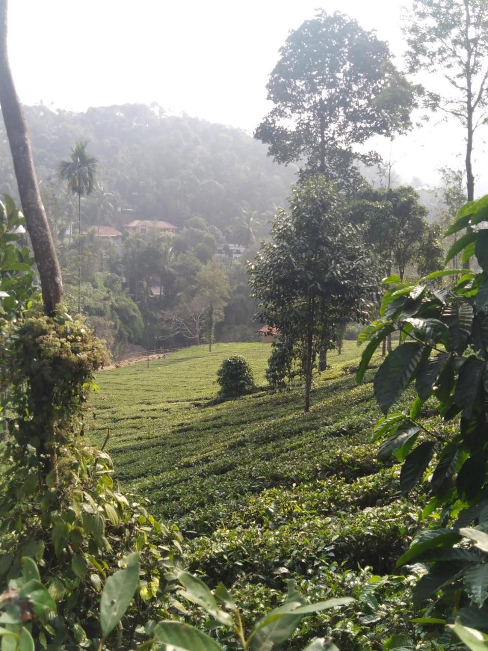 Letstay Vythiri Hill Palace المظهر الخارجي الصورة