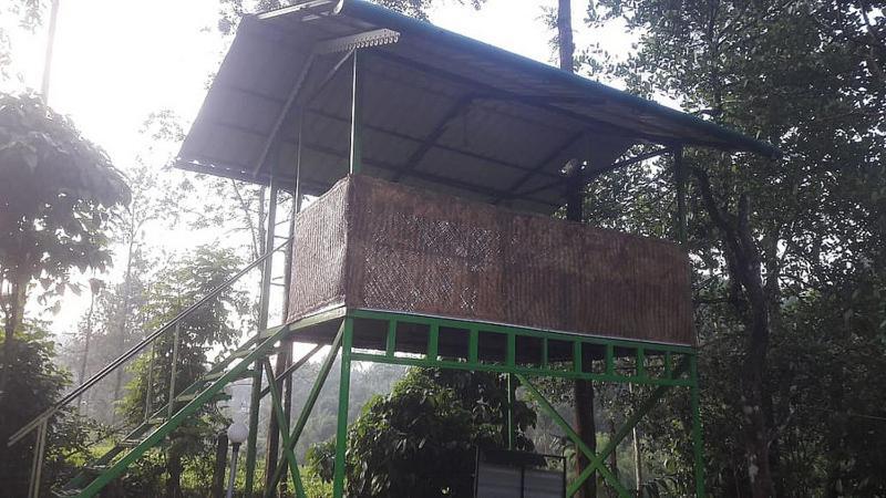Letstay Vythiri Hill Palace المظهر الخارجي الصورة